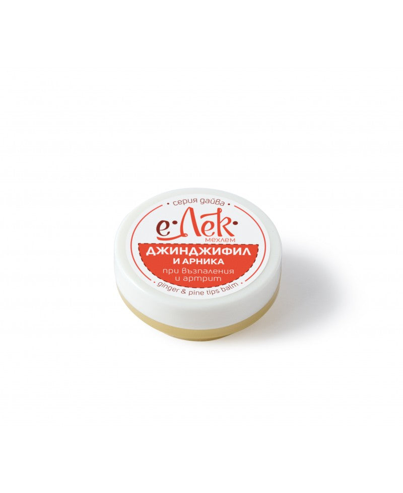 Ointment with ginger and arnica for arthritis, frostbite, 20 ml